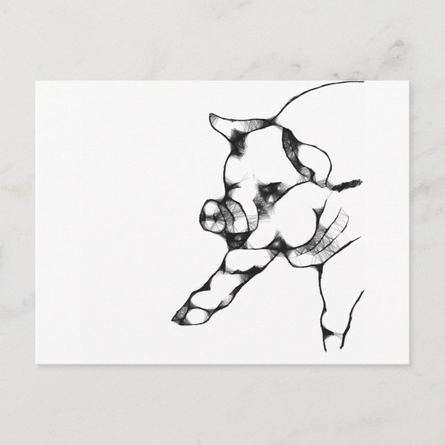 pig postcard (Front)