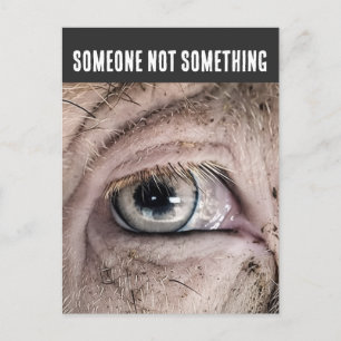 PIG Postcard, SOMEONE NOT SOMETHING Postcard