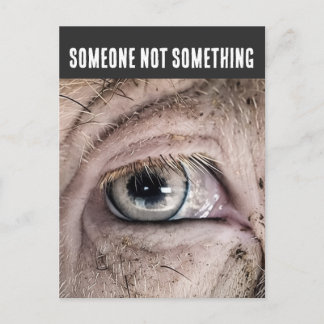PIG Postcard, SOMEONE NOT SOMETHING Postcard