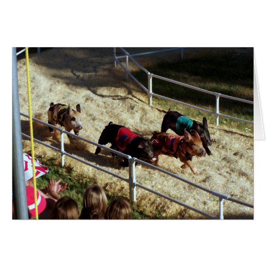 Pig race at the County Fair - Card