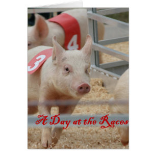 Pig racing, Pig race photo, cochon rose