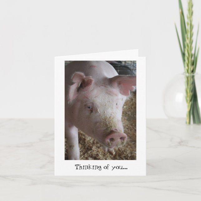 Pig Thinking of You Card (Front)