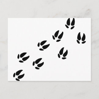 Pig - Tracks Postcard