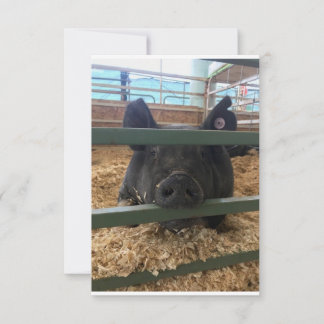 Pig vierge dans la carte