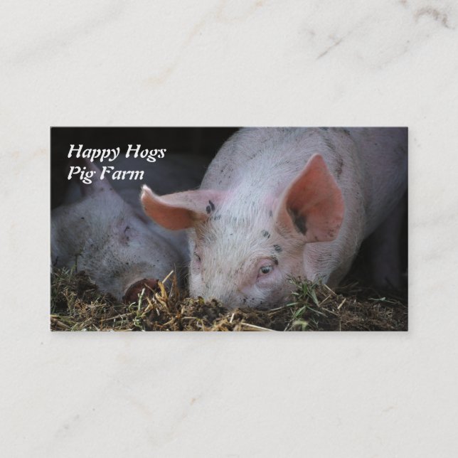 Pig with lopsided ears snuffling in straw business card (Front)