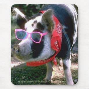 Pig With Sunglasses And Bandana Mouse Pad