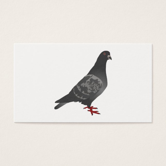 Pigeon (Front)