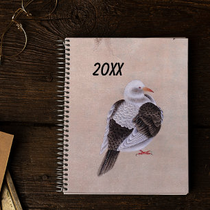 Pigeon