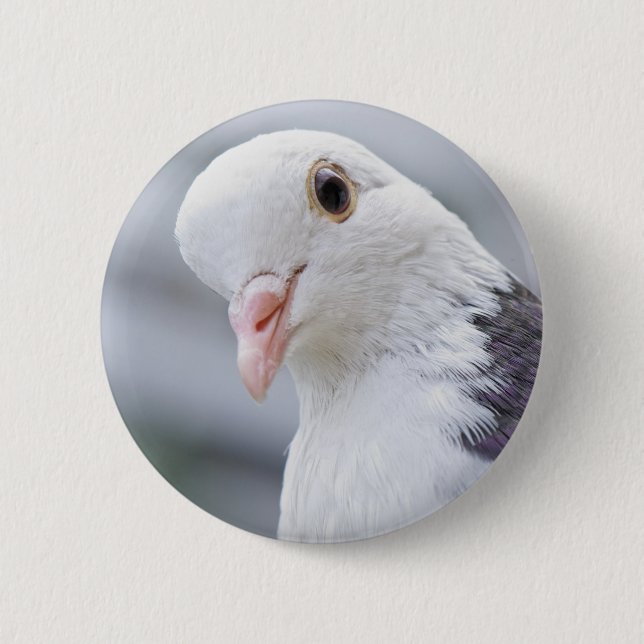 Pigeon 2 Inch Round Button (Front)