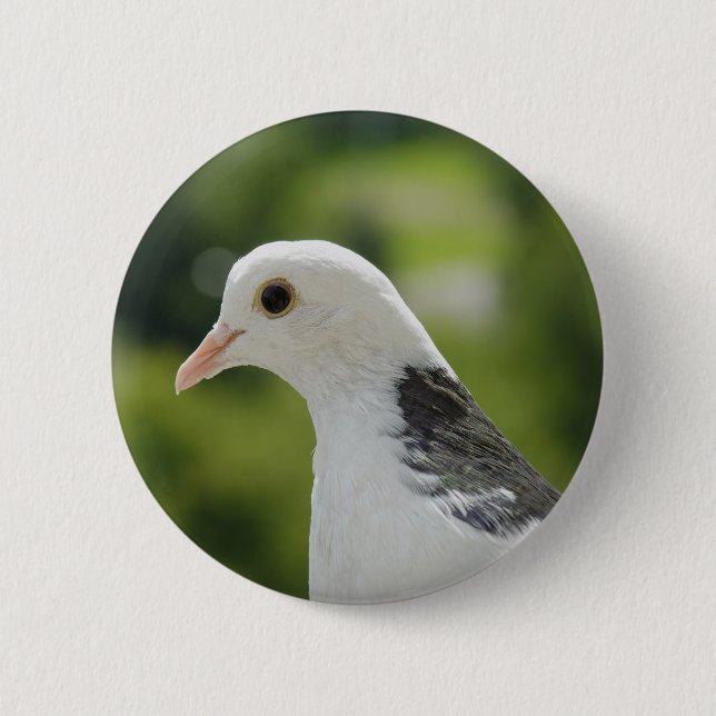 Pigeon 2 Inch Round Button (Front)