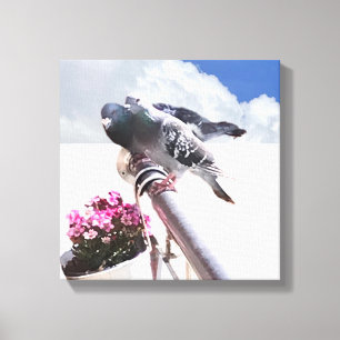 Pigeon and Flowers Canvas Print