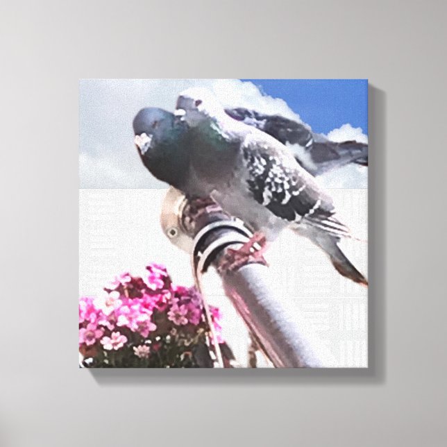 Pigeon and Flowers    Canvas Print (Front)