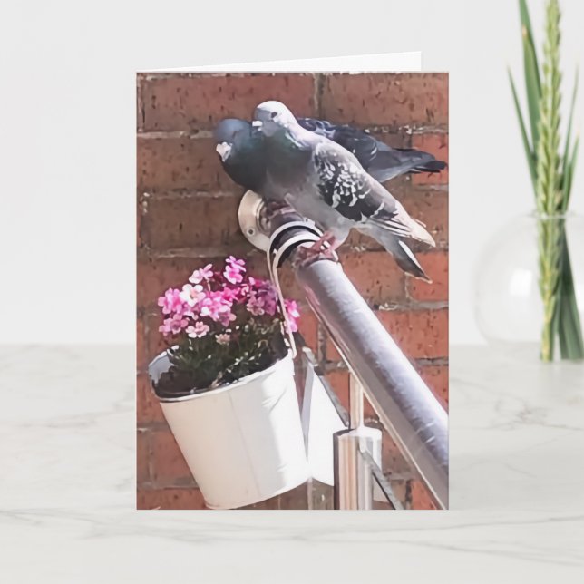 Pigeon and Flowers Greeting  Card (Front)