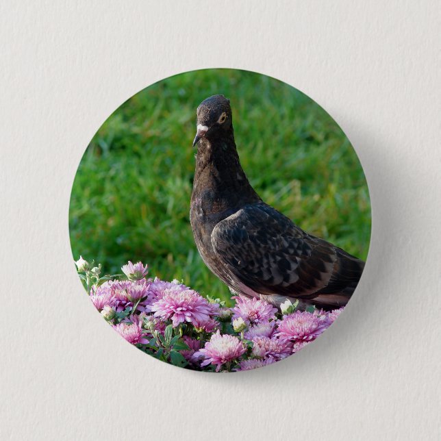 Pigeon and Mums 2 Inch Round Button (Front)