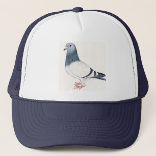 "Pigeon" Bird Art Hat