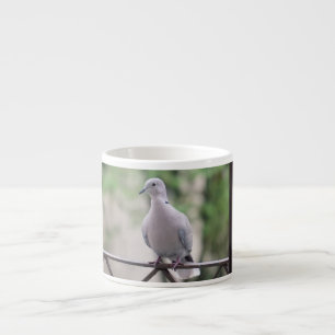 pigeon Bird on Balcony Photography Portrait Espresso Cup
