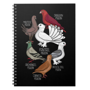 Pigeon Breeds King Pigeon Lover Men Pigeons Notebook