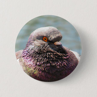 Pigeon Close Up 2 Inch Round Button