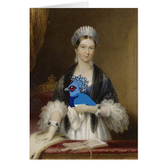 Pigeon couronné par Victoria de la Reine (Devant)