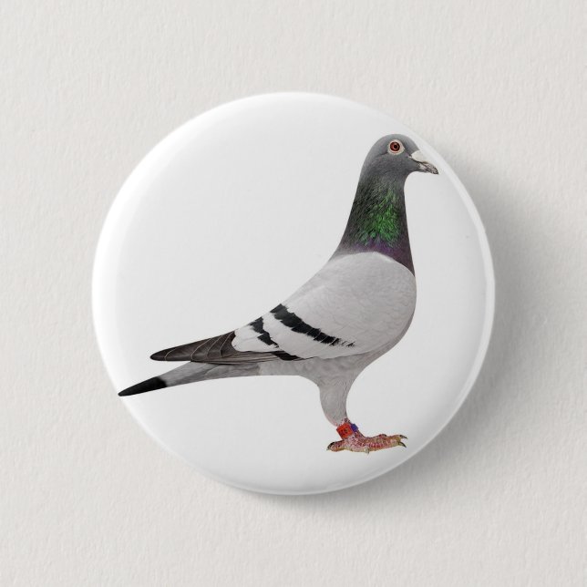 pigeon design 2 inch round button (Front)