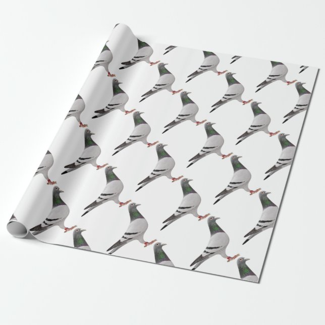 pigeon design wrapping paper (Unrolled)