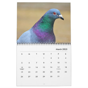 Pigeon Doves Bird Watchers Photography 2025  Calendar
