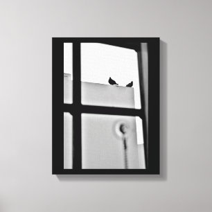Pigeon Drama Canvas Print