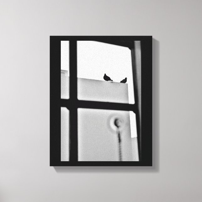 Pigeon Drama Canvas Print (Front)