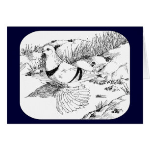 Pigeon du croissant saxon 1973