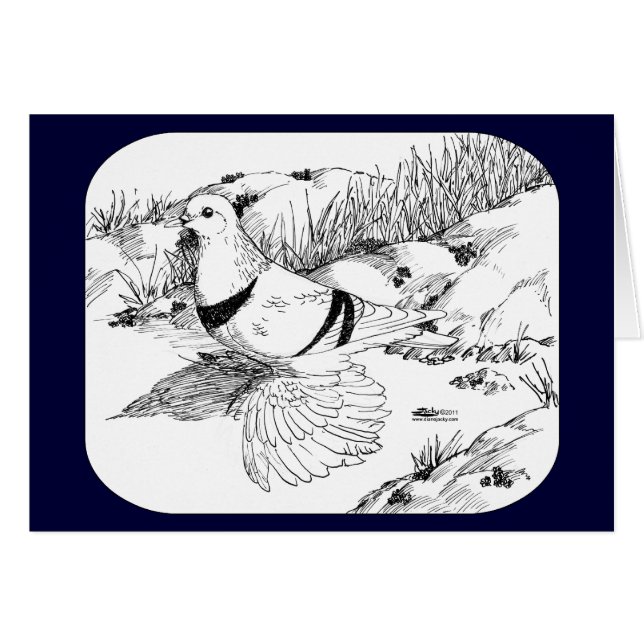 Pigeon du croissant saxon 1973 (Devant Horizontal)