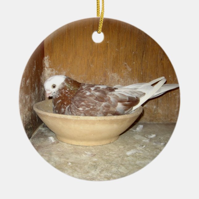 Pigeon en son ornement de cuvette de nid (Devant)