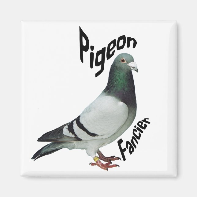 Pigeon Fancier Magnet (Devant)