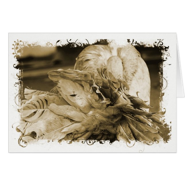 Pigeon fantastique (Devant horizontal)