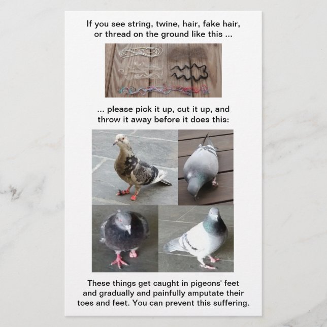 Pigeon Foot Injury Rescue Customizable Vertical Flyer (Front)