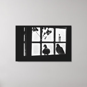 Pigeon Friends Canvas Print