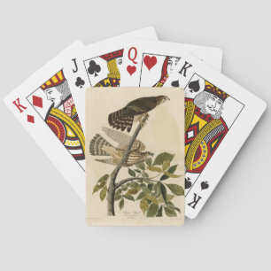 Pigeon Hawk (Merlin) - Audubon's Birds of America Playing Cards