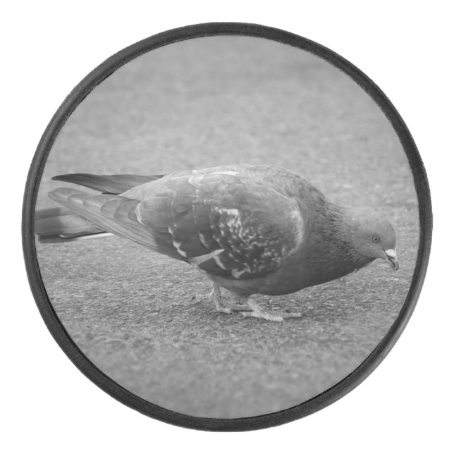 Pigeon Hockey Puck (Front)