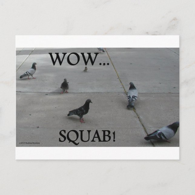 PIGEON HUMOR POSTCARD (Front)