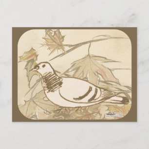 Pigeon In the Woods Postcard