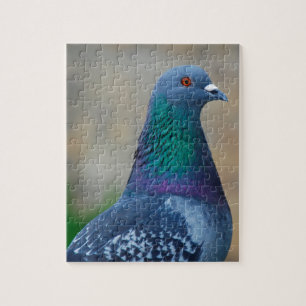 Pigeon Jigsaw Puzzle