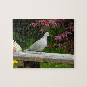Pigeon Jigsaw Puzzle