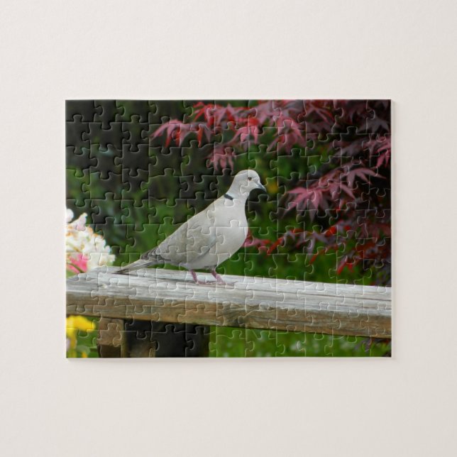 Pigeon Jigsaw Puzzle (Horizontal)