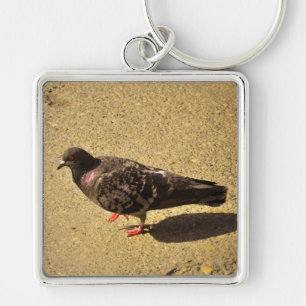 Pigeon Keychain