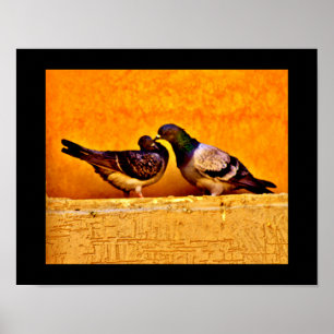 Pigeon Lovers Poster