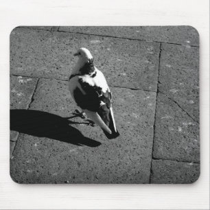 Pigeon Mousepad