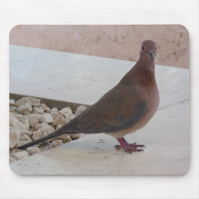 Pigeon mousepad, customizable mouse pad (Front)
