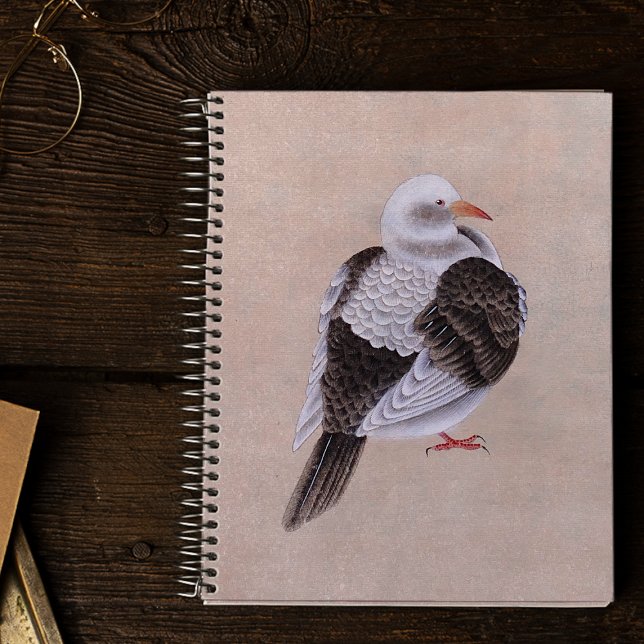Pigeon Notebook (Creator Uploaded)