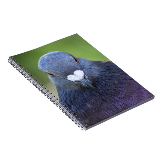 Pigeon  notebook (Right Side)