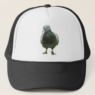 Pigeon on a hat