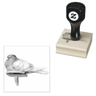 Pigeon on a Shelf Bird Vintage  Rubber Stamp